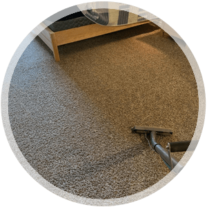 Professional carpet cleaning in a residential setting, featuring a vacuum cleaner on plush carpet, highlighting cleanliness and maintenance services.