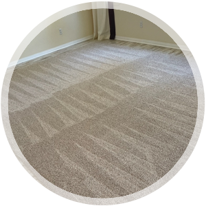 Carpet Cleaning Service Icon