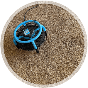 Water damage restoration equipment on carpet, highlighting professional cleaning services for healthy home environments.