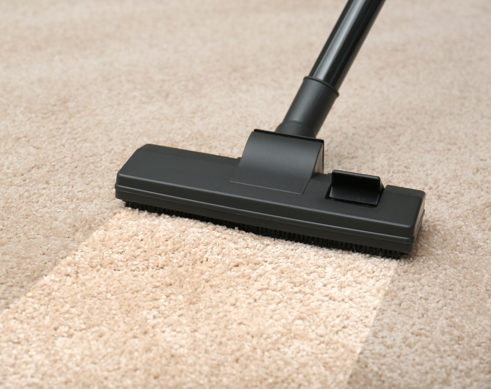 Vacuum cleaner attachment on plush carpet, demonstrating effective carpet cleaning for a healthier home environment.