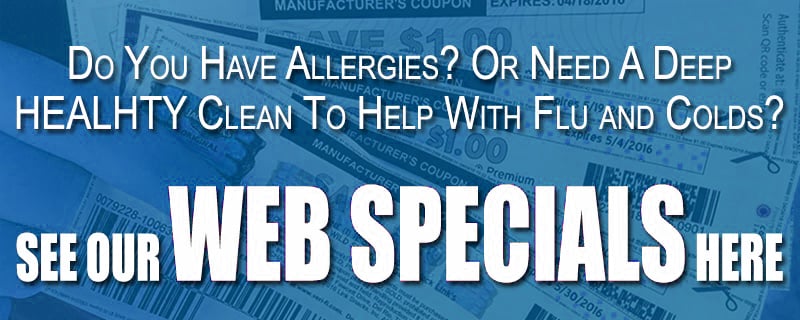 Text promoting web specials for carpet cleaning services, highlighting benefits for allergy sufferers and deep cleaning for flu and cold prevention.