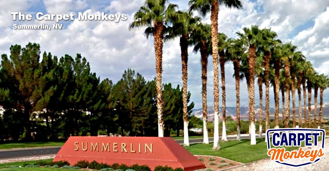 Signage for The Carpet Monkeys with "Summerlin, NV" text, surrounded by palm trees and a scenic landscape, emphasizing professional cleaning services for Summerlin residents and businesses.