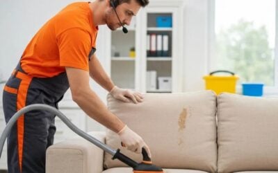 Expert Upholstery Cleaning Strategies for a Desert Home