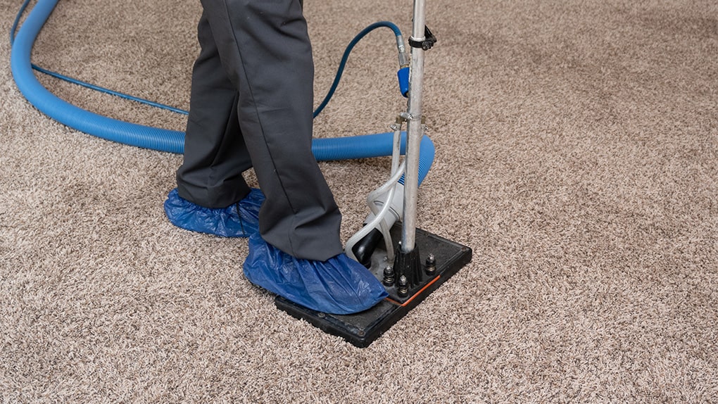 cleaning services in moonpark 